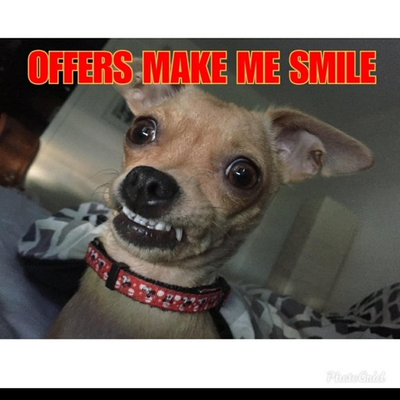 Meet your Ambassador Posher, Gale - Picture 7 of 13